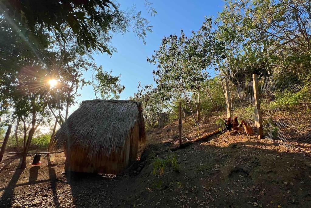 Casa Del Sapo Villa Yolina Bagian luar foto